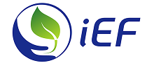 IEF